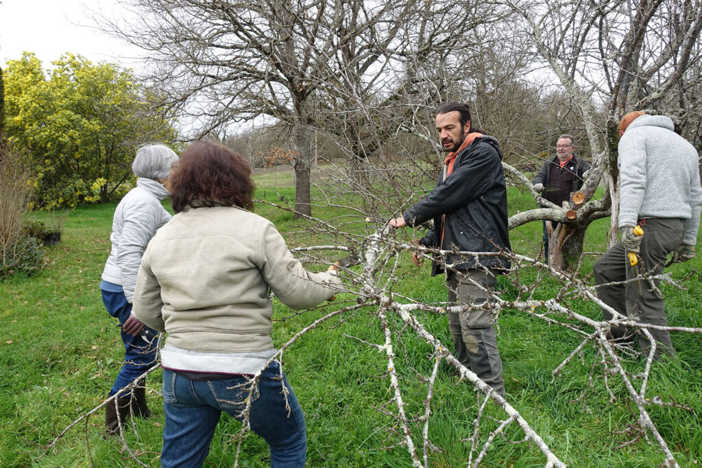 Lire la suite à propos de l’article On bichonne le verger