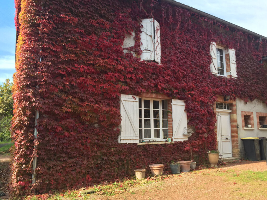 Lire la suite à propos de l’article TRANSFORMATION DE NOTRE PROJET D’ÉCOHABITAT PARTICIPATIF